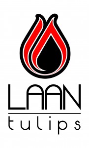 Logo Laan Tulips