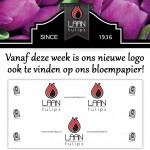 New wrapping paper Laan Tulips bloempapier