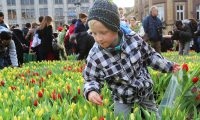 tulpendag2020 Nationale tulpendag 2020
