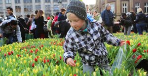 Nationale tulpendag 2020