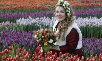 tulpenprinses-2019 tulpenprinses-2019